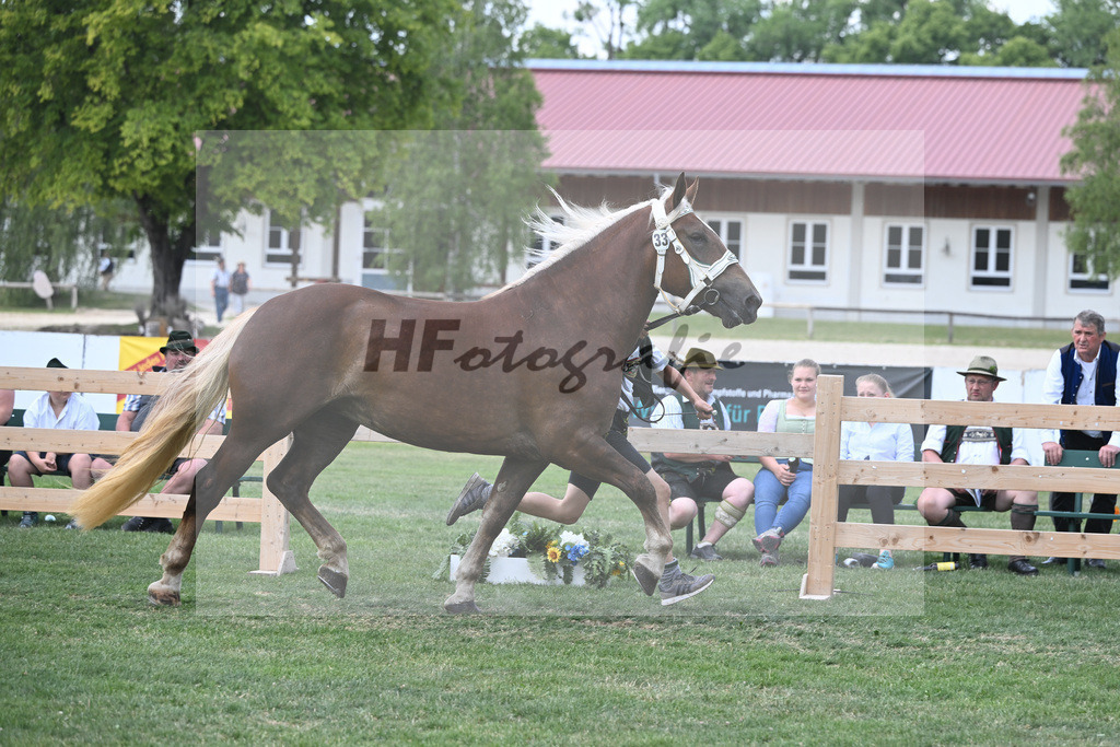 Kat-Nr. 33 Zara_Stadler_20230517 | hf-fotografie - Realisiert mit Pictrs.com