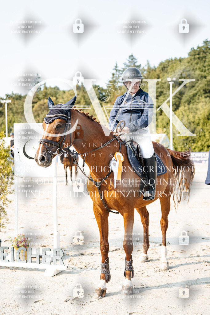 CK704439 | Turnierfotografie Pferdefotografie Trier Rheinland-Pfalz Pferdesport Reitsport Tierfotografie Sportfotografie Pferdevideo Pferdevideografie Equestrianvideography equestrianphotography  - Realisiert mit Pictrs.com