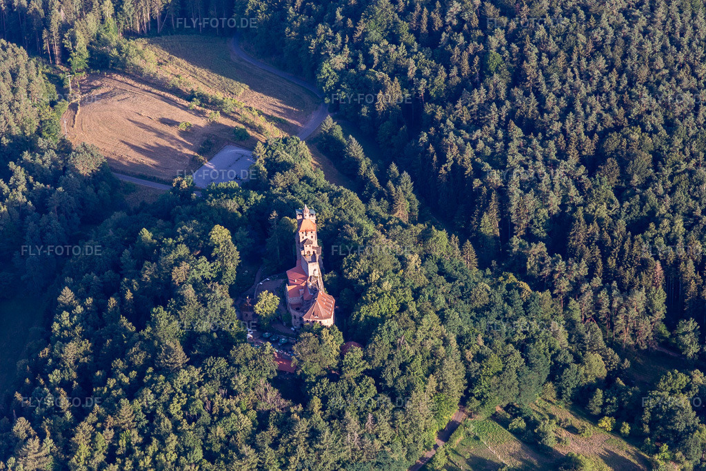 Luftbild: Burg Berwartstein in Erlenbach bei Dahn im Bundesland Rheinland-Pfalz in Deutschland. Foto: IMG_133633.jpg vom 18.07.2022 durch Werner Riehm/FLY-FOTO.deBURGBERWARTSTEIN.DE