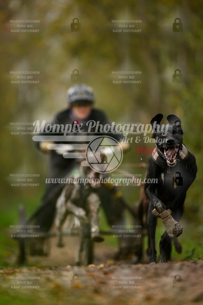 MompixPhotography_20TSB_E6_Kart-7 | PayLife