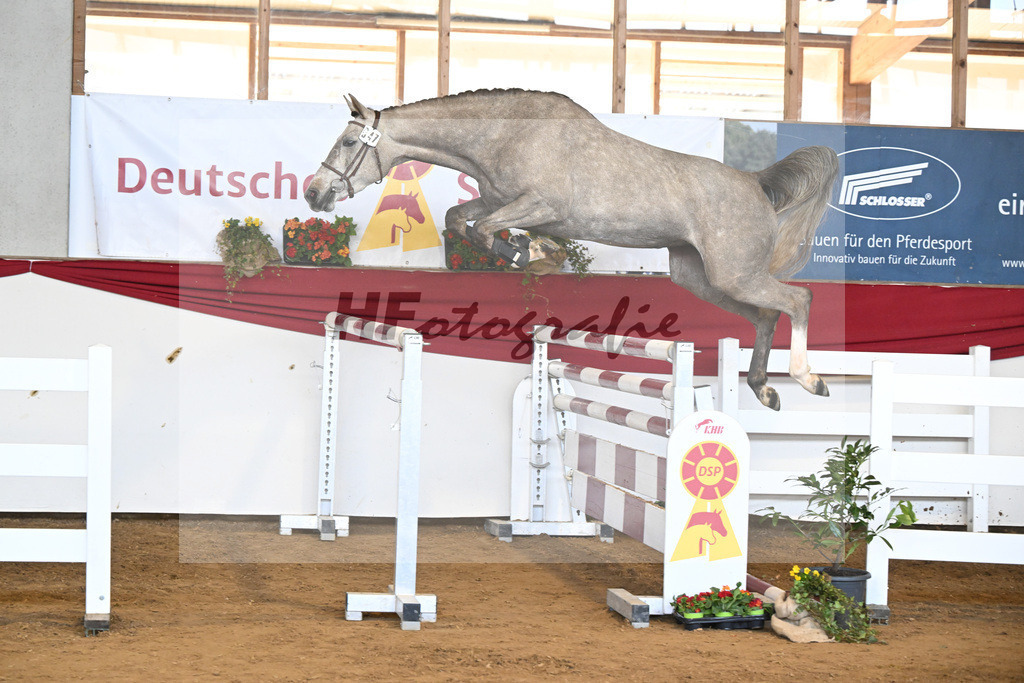 Kat-Nr. 47 Signorita v. Mattias_Lindner_16251105 | hf-fotografie - Realizzato con Pictrs.com