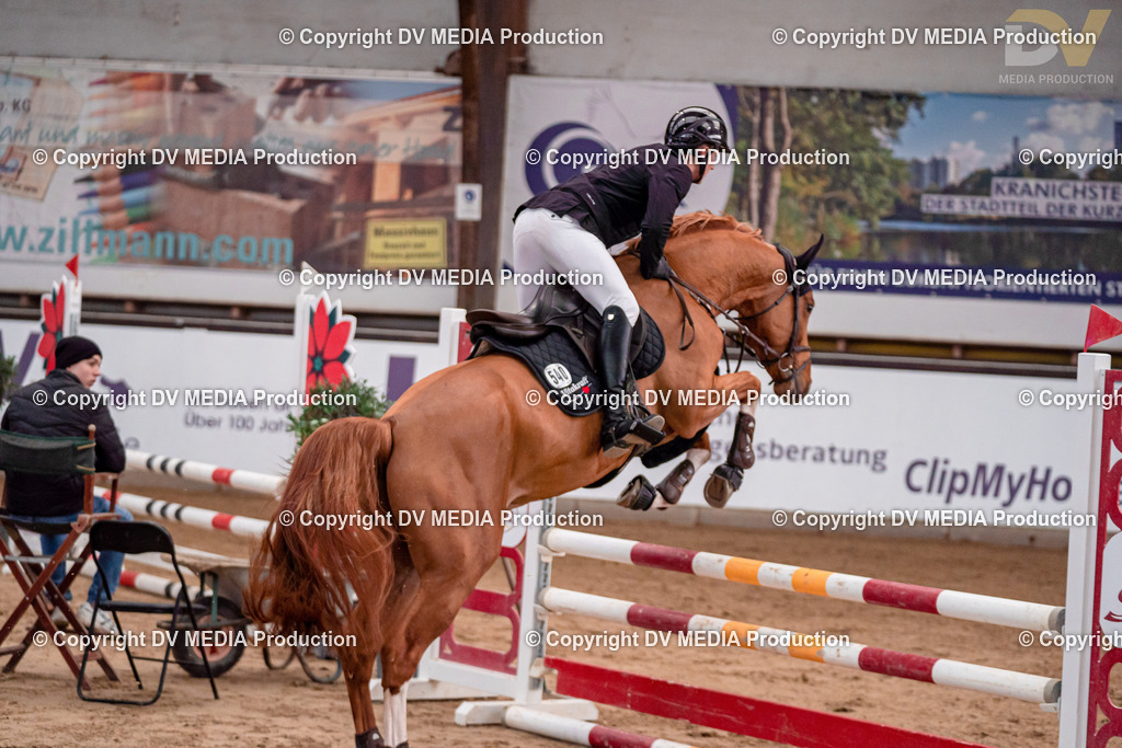 Kranichstein II Tag 1-180 | dv-media-shop - Realisiert mit Pictrs.com