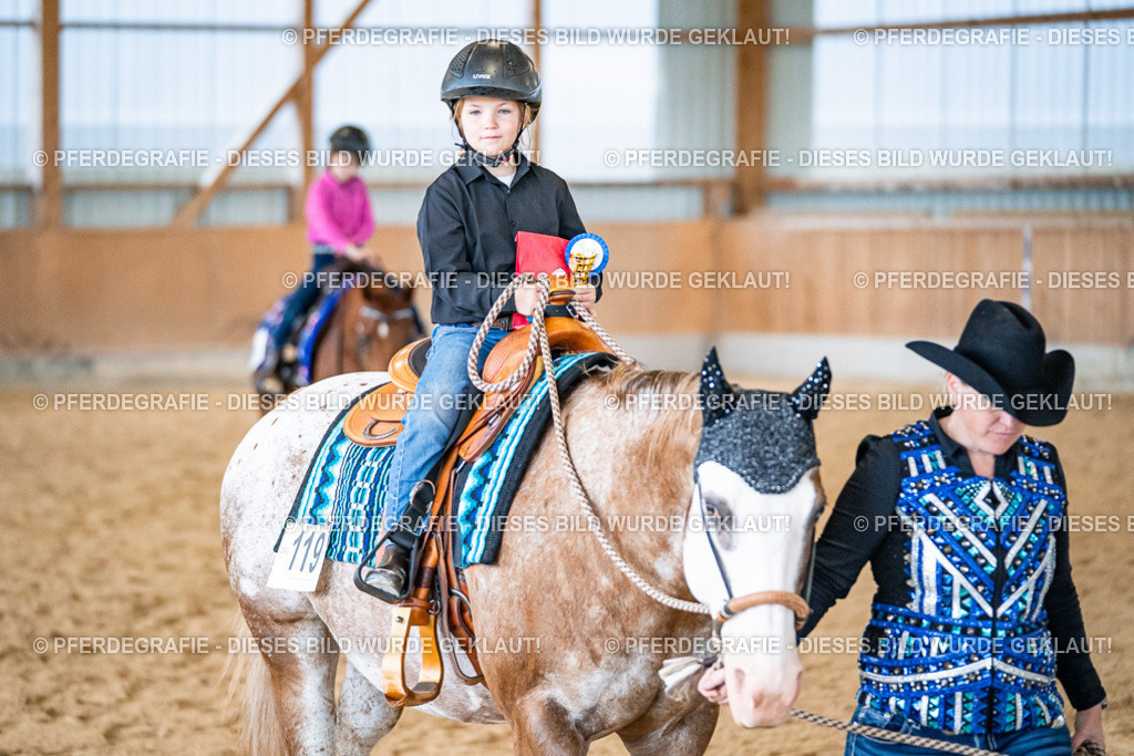 DSC01098 | Pferdegrafie