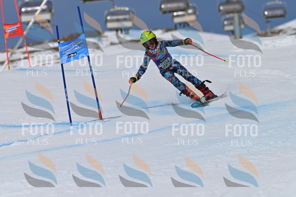 BGV_6411 | holidayphoto