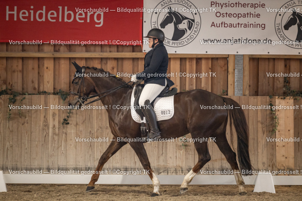 _D5A8977 | Emotionale Pferde- & People-Fotografie rund um Heidelberg, Leimen & Umgebung. Natürliche Fotos von Pferd, Mensch & Familie. Jetzt Termin sichern!