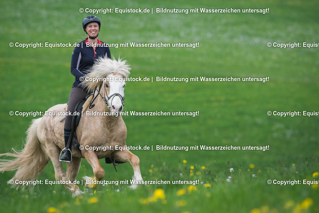 TS_20170415_Isl__nder_Ausritt_0007 1 | Foto: Thomas Hartig