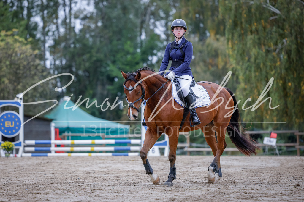 20251012-_3LI2735 | Tierfotografie Pferde, Hunde, Katzen, Haustiere.
Turnierfotografie Reitturniere, Reiten, Springreiten, Dressur in Hanau, dem Main-Kinzig-Kreis und dem Rhein-Main- Gebiet um Frankfurt