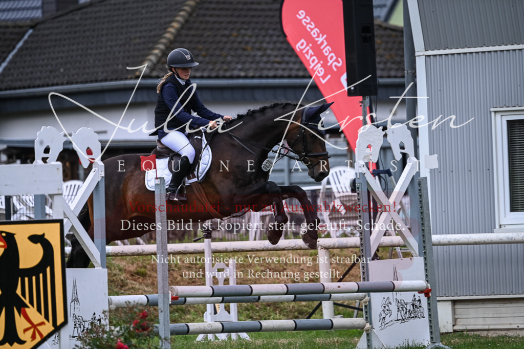 DSC_8556 | Pferde- und Turnierfotografie in Westsachsen. Pferdeportraits, Auftragszeichnungen und intuitive Kunst.