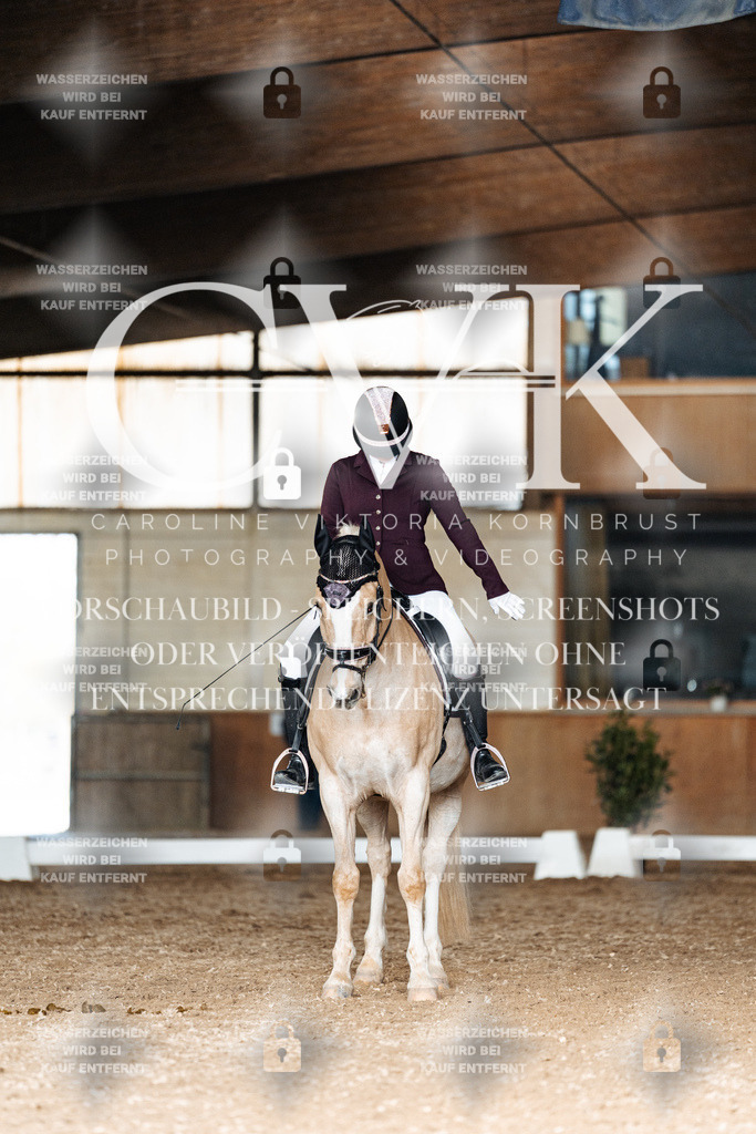 CK902611 | Turnierfotografie Pferdefotografie Trier Rheinland-Pfalz Pferdesport Reitsport Tierfotografie Sportfotografie Pferdevideo Pferdevideografie Equestrianvideography equestrianphotography  - Realisiert mit Pictrs.com