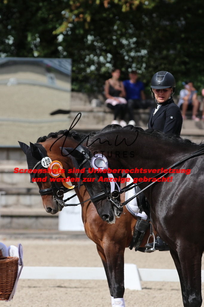 IMG_1332 | lmwpictures - Realisiert mit Pictrs.com