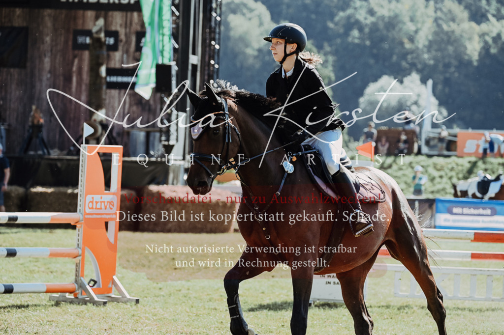 DSC_5635 | Pferde- und Turnierfotografie in Westsachsen. Pferdeportraits, Auftragszeichnungen und intuitive Kunst.