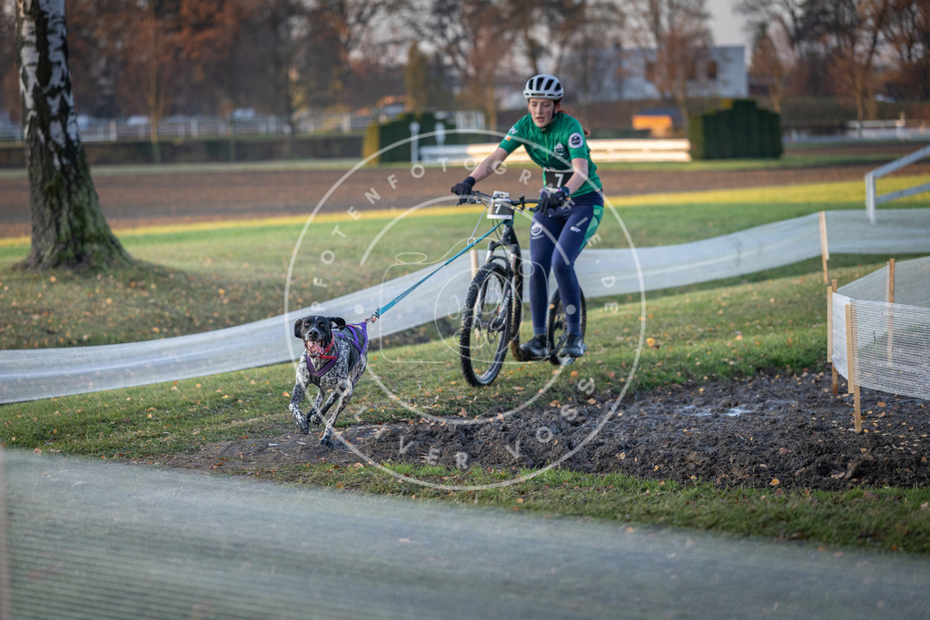 CaniXpix_DV3A9364 | Hundefotografie, Tierfotograf, Pfotenfotografie, Fotoshooting Hund, Hunde Portrait, Hundesport, Hundeportraits, Heideshooting, Hunde, Sportfotograf, Hundefotograf, Turnierhundsport, THS,  - Realisiert mit Pictrs.com