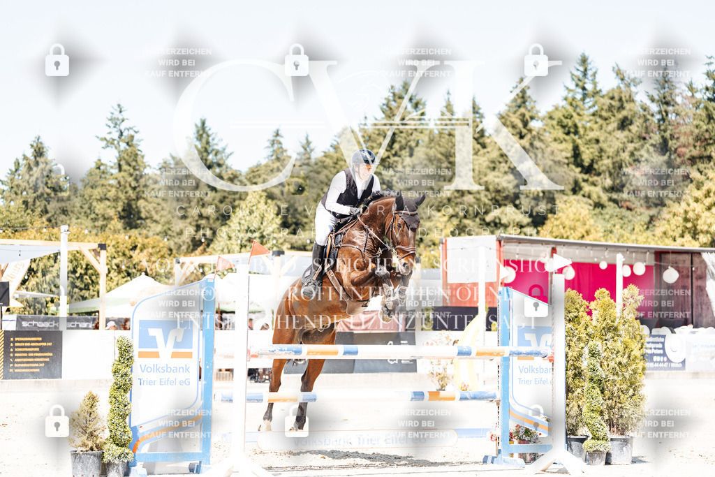 CK900487 | Turnierfotografie Pferdefotografie Trier Rheinland-Pfalz Pferdesport Reitsport Tierfotografie Sportfotografie Pferdevideo Pferdevideografie Equestrianvideography equestrianphotography  - Realisiert mit Pictrs.com