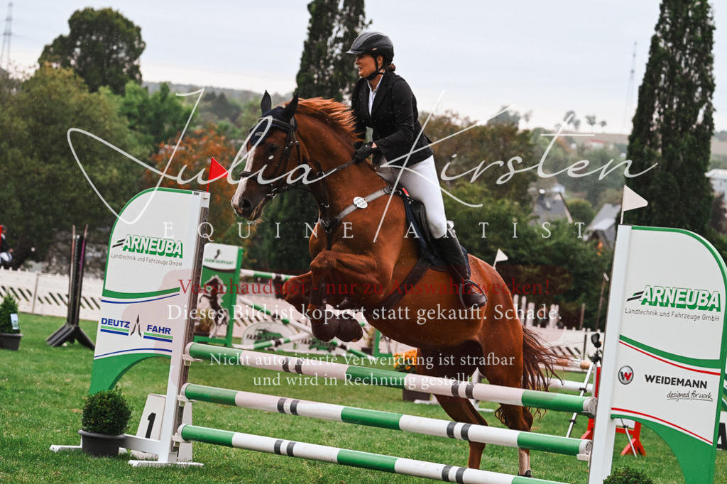 DSC_6427 | Pferde- und Turnierfotografie in Westsachsen. Pferdeportraits, Auftragszeichnungen und intuitive Kunst.