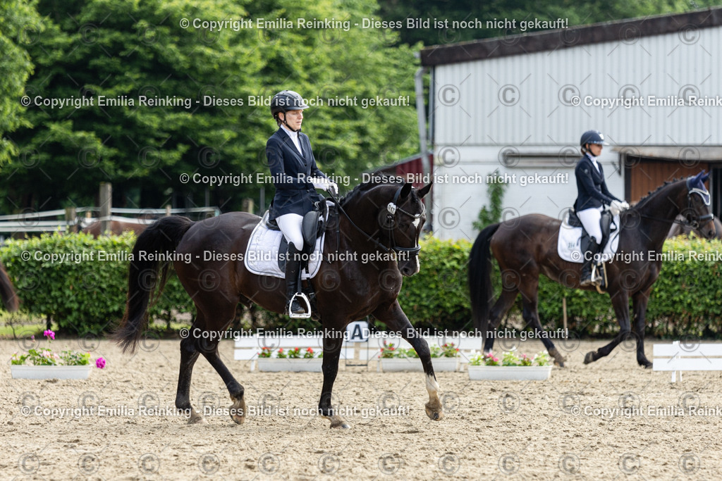 CL5A5174 | Emilia Reinking Fotografie - Realisiert mit Pictrs.com