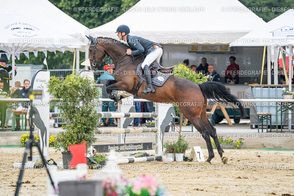 DSC00558 | Pferdegrafie