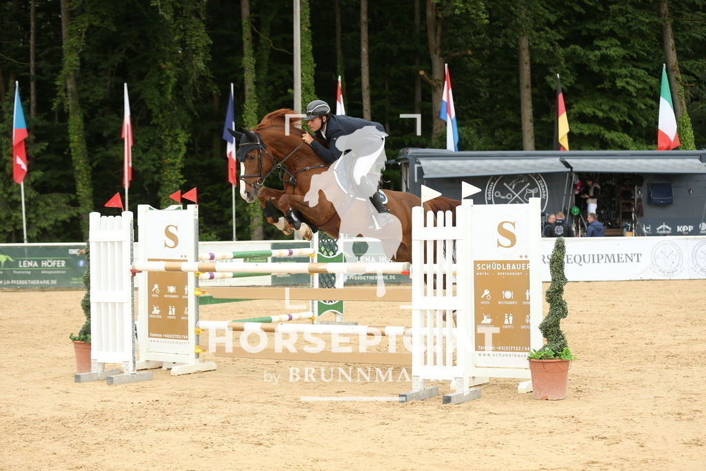 DL2Q2137 | Willkommen bei Brunnmayr - Design & Fotografie – Ihrem Spezialisten für Reitturniere und Pferdeveranstaltungen in Oberösterreich, Salzburg und Bayern! Seit über 17 Jahren sind wir leidenschaftlich dabei.