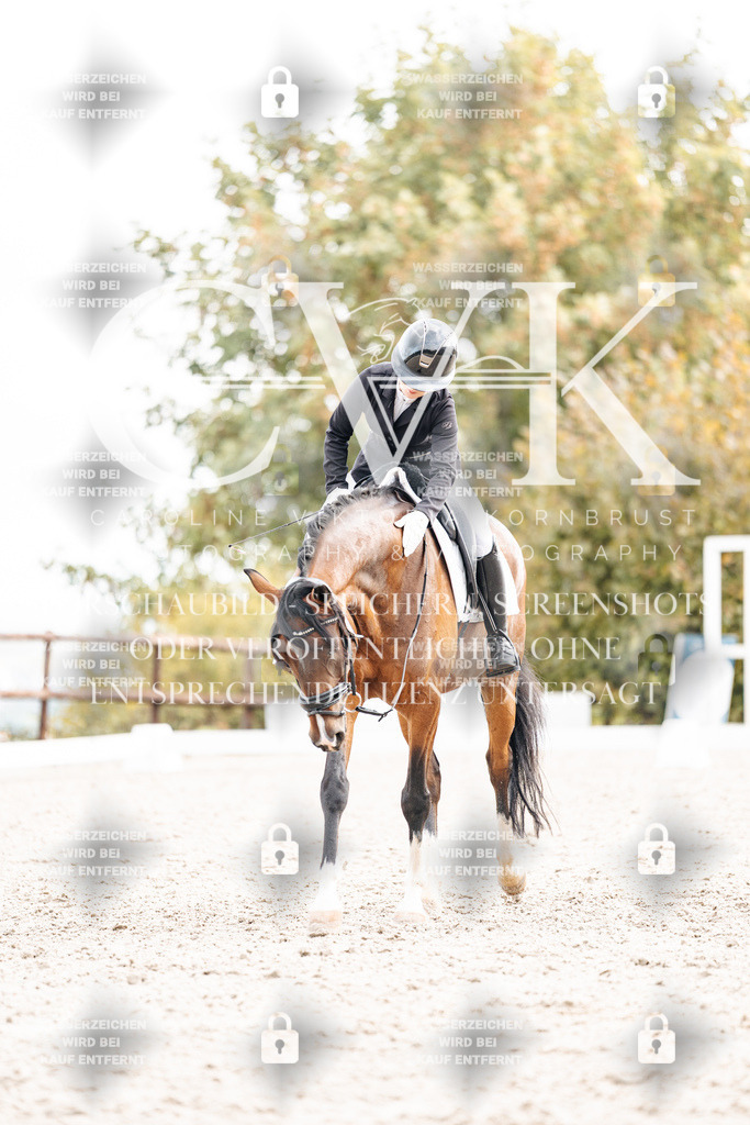 CK901023 | Turnierfotografie Pferdefotografie Trier Rheinland-Pfalz Pferdesport Reitsport Tierfotografie Sportfotografie Pferdevideo Pferdevideografie Equestrianvideography equestrianphotography  - Realisiert mit Pictrs.com