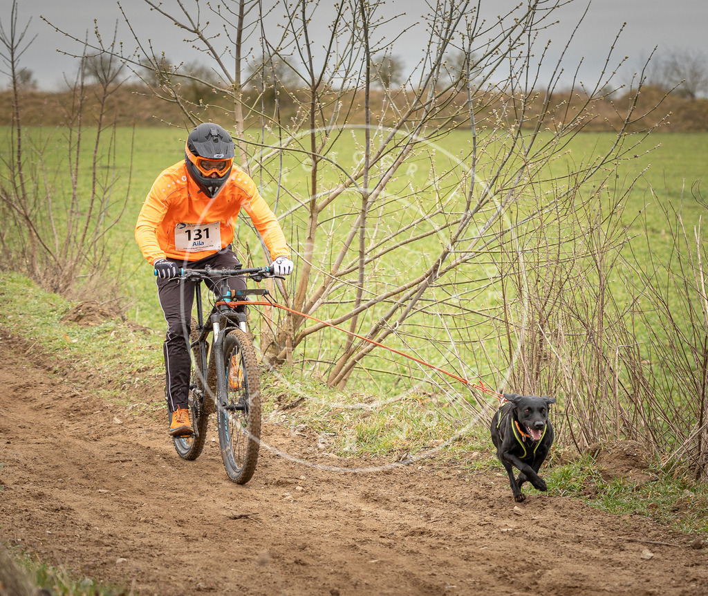 DV3A1632 | Hundefotografie, Tierfotograf, Pfotenfotografie, Fotoshooting Hund, Hunde Portrait, Hundesport, Hundeportraits, Heideshooting, Hunde, Sportfotograf, Hundefotograf, Turnierhundsport, THS,  - Realisiert mit Pictrs.com
