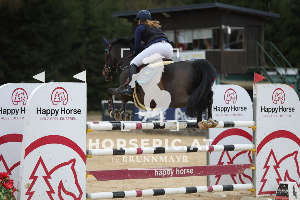 0P6A3962 | Willkommen bei Brunnmayr - Design & Fotografie – Ihrem Spezialisten für Reitturniere und Pferdeveranstaltungen in Oberösterreich, Salzburg und Bayern! Seit über 17 Jahren sind wir leidenschaftlich dabei.