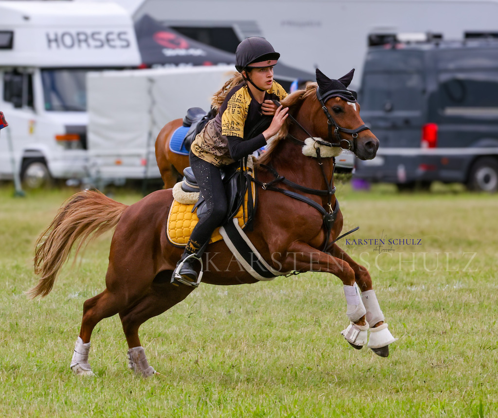 1B3A1005 | Reitsport Reiten
