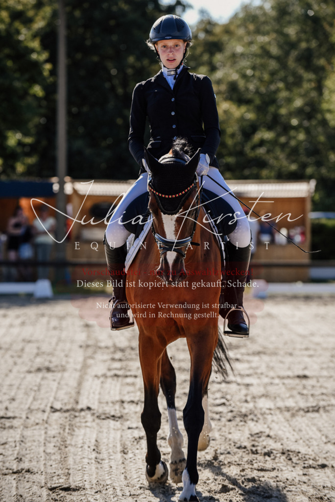 DSC_0327 | Pferde- und Turnierfotografie in Westsachsen. Pferdeportraits, Auftragszeichnungen und intuitive Kunst.
