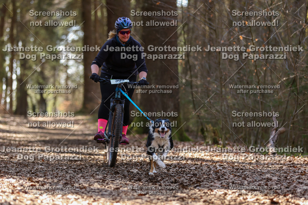 Dog Paparazzi - VCC26-1402 | Dog Paparazzi Jeanette Grottendiek Fotografie & Videografie - Realisiert mit Pictrs.com