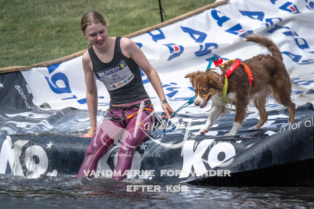 1207_ZZ95532 | kk-dogfotos