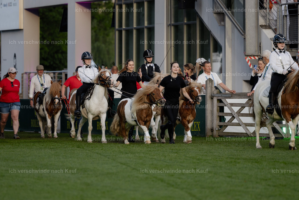 TSCHIO26_PferdundSinfonie_Stoibphotography_AM10777.jpg | working equitationturnier fotograf videograf stoibphotography marixx film working equitation deutschland reitsport turnierfotografie eventfotografie equestrian events