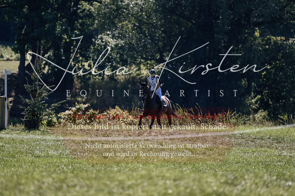 DSC_1718 | Pferde- und Turnierfotografie in Westsachsen. Pferdeportraits, Auftragszeichnungen und intuitive Kunst.