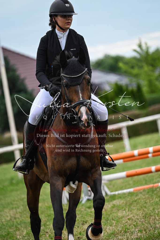 DSC_8432 | Pferde- und Turnierfotografie in Westsachsen. Pferdeportraits, Auftragszeichnungen und intuitive Kunst.