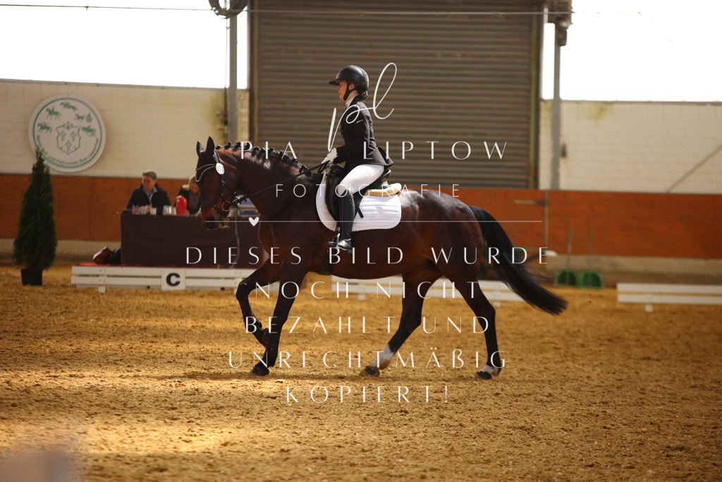 IMGT3780 | pl-fotografie