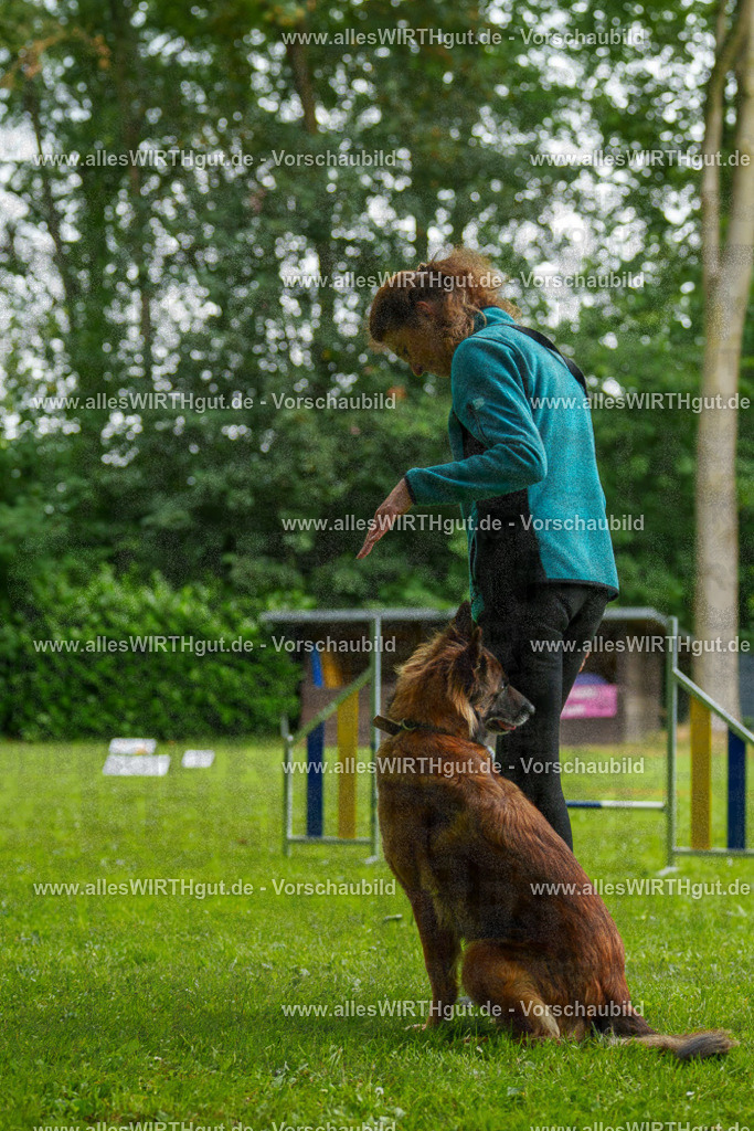 @allesWIRTHgut_Tierfotografie - www.allesWIRTHgut.de - 102030-7R508378 | Professionelle Tierfotografie in Mönchengladbach von Daniel Wirth (allesWIRTHgut). Liebevolle & natürliche Bilder von Hunden & Katzen für unvergessliche Erinnerungen.