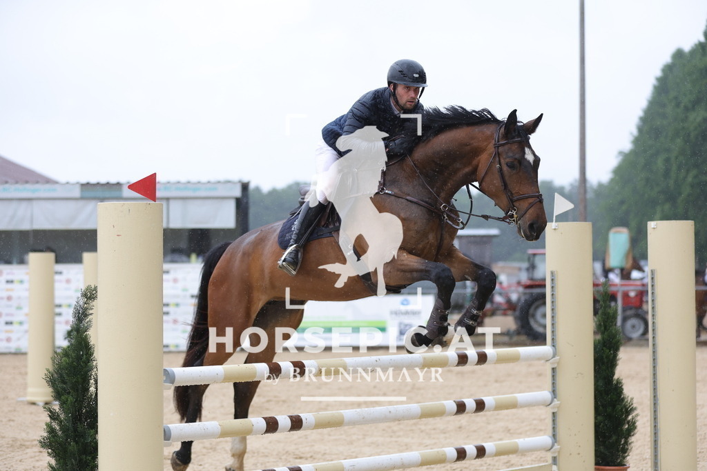 0P6A2131 | Willkommen bei Brunnmayr - Design & Fotografie – Ihrem Spezialisten für Reitturniere und Pferdeveranstaltungen in Oberösterreich, Salzburg und Bayern! Seit über 17 Jahren sind wir leidenschaftlich dabei.