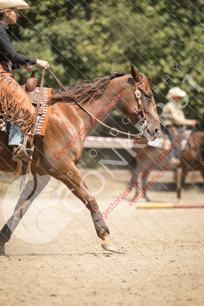 IMG_0345 | Sport-, Event- und Tierfotos in Profiqualität. Einfach auswählen, bestellen und herunterladen. Dein Moment – perfekt festgehalten.