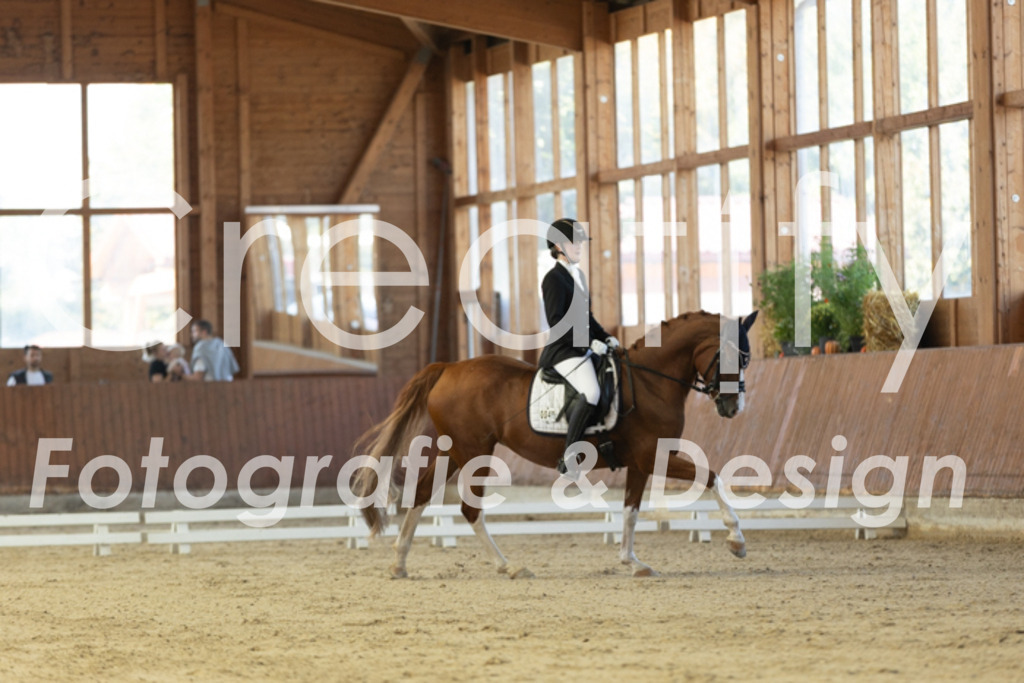 IMG_9580 | Creatify Fotografie