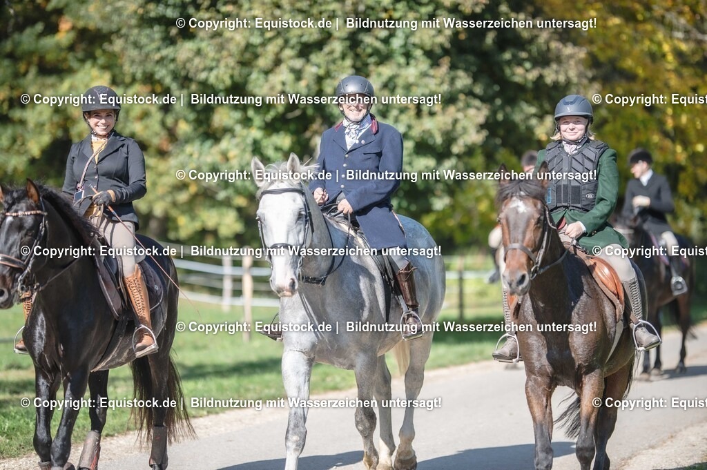 20251011_Jagd-Marbach_0600 | Foto: Thomas Hartig