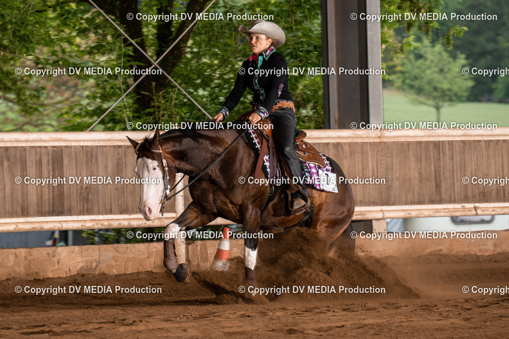 Erbach Tag 2-954 | dv-media-shop - Realisiert mit Pictrs.com