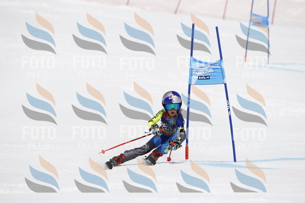 _U3G6453 | holidayphoto