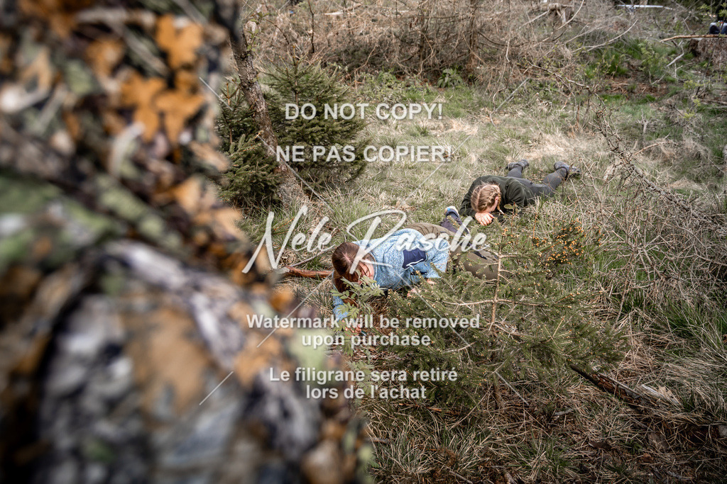 NR__0491 | nelerasche