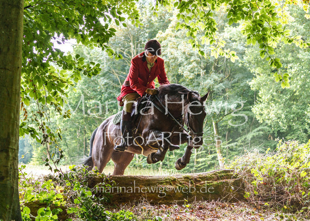 Jagd Knoop 26_MarinaHewigMCH02407 | Fotografie, FotoArt, PferdesportArt, Pferdesportfotografie, Landschaftsfotografie, Reisefotografie, Reise, Pferde - Realisiert mit Pictrs.com
