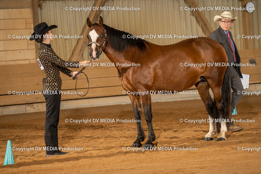 NID02378 | dv-media-shop - Realisiert mit Pictrs.com