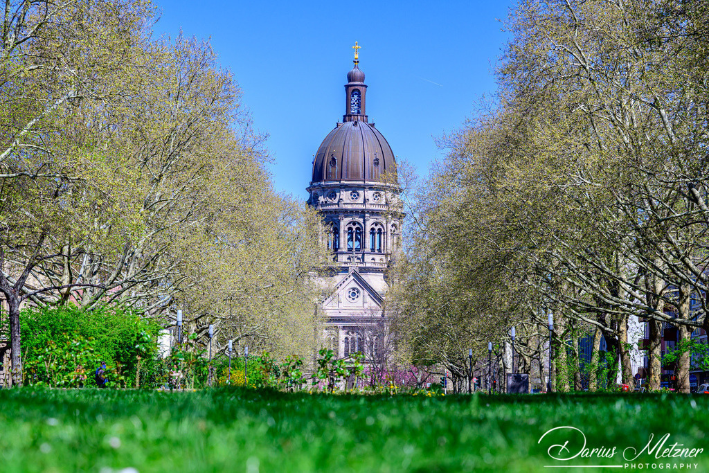 DSC_8319 2 | Fotografien, Fotos und Bilder aus Mainz, Frankfurt, Wiesbaden und anderen Orten auf der Welt - Fotografiert von Darius Metzner