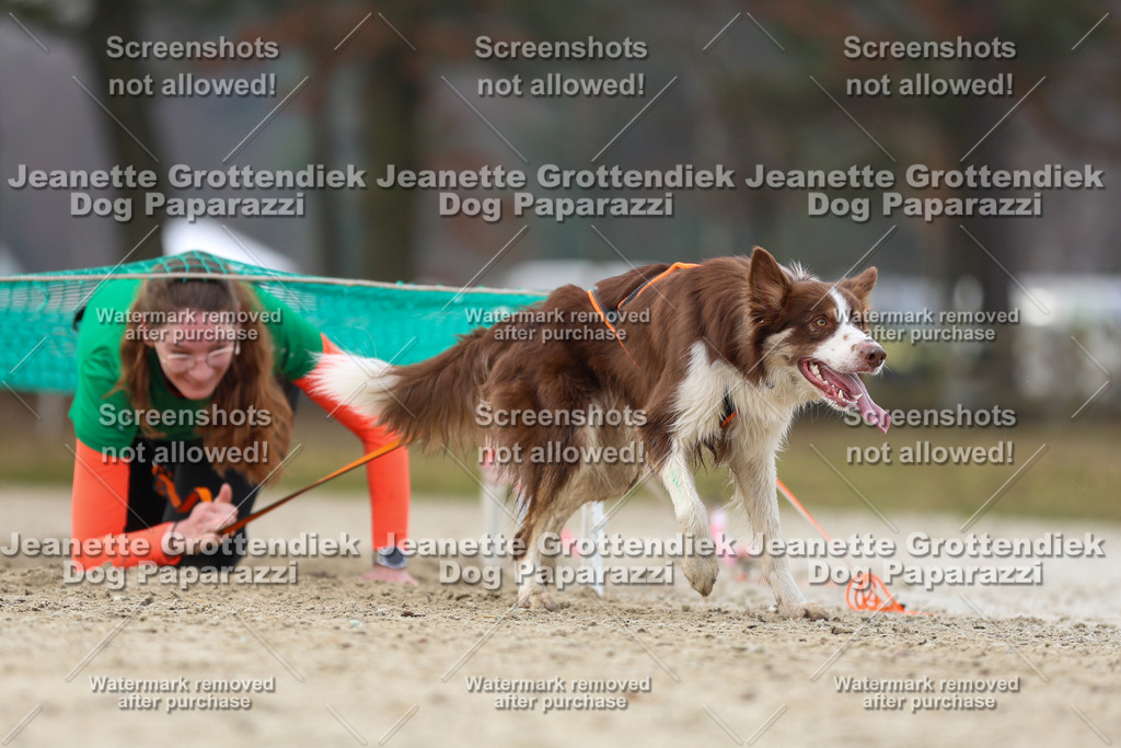 Dog Paparazzi - Strongdog North Mrz26-4568 | Dog Paparazzi Jeanette Grottendiek Fotografie & Videografie - Realized with Pictrs.com