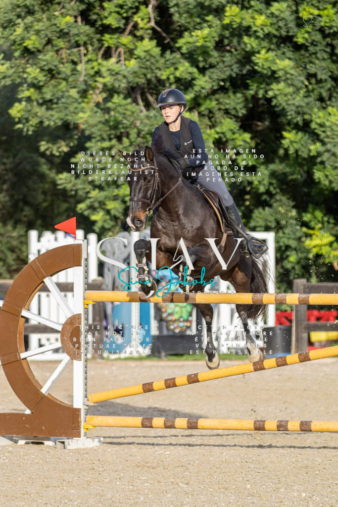 IMG_5154 | s-jay-photography - Realisiert mit Pictrs.com