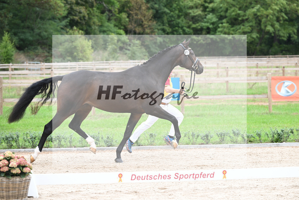 Kat-Nr. 9 Laurena_Kuehnle u Langhammer_49220886 | hf-fotografie - Realisiert mit Pictrs.com