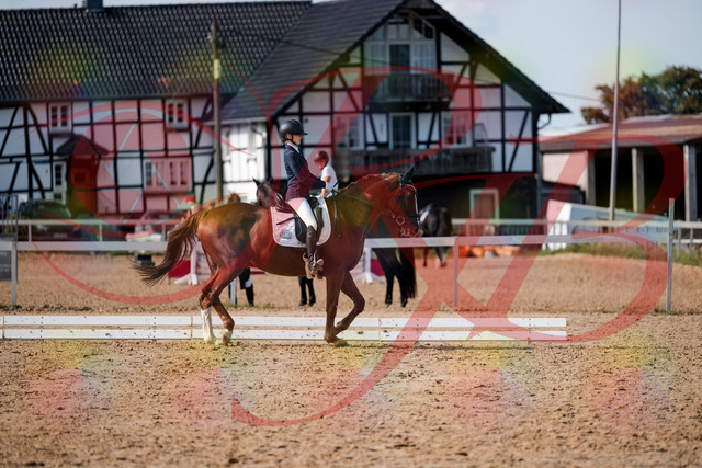 2026_10_03_Siefer-Hof_132902_Z63_90961147 | Professionelle Reitsport-, Turnier- und Eventfotografie von Robert Broda. Galerien mit ausgewählten und bearbeiteten Bildern direkt online ansehen und bestellen.