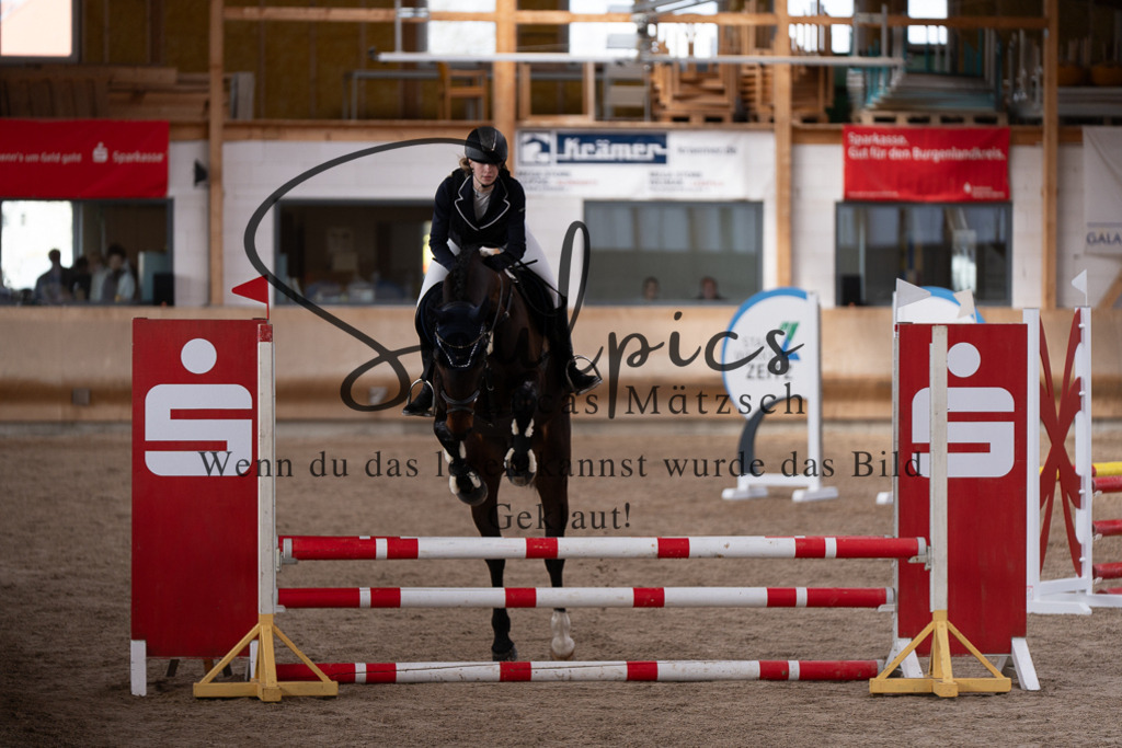 A7507488 | Pferdefotograf