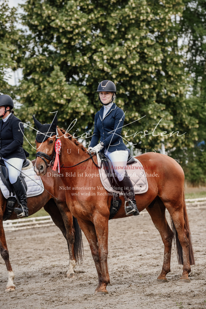 DSC_9363 | Pferde- und Turnierfotografie in Westsachsen. Pferdeportraits, Auftragszeichnungen und intuitive Kunst.