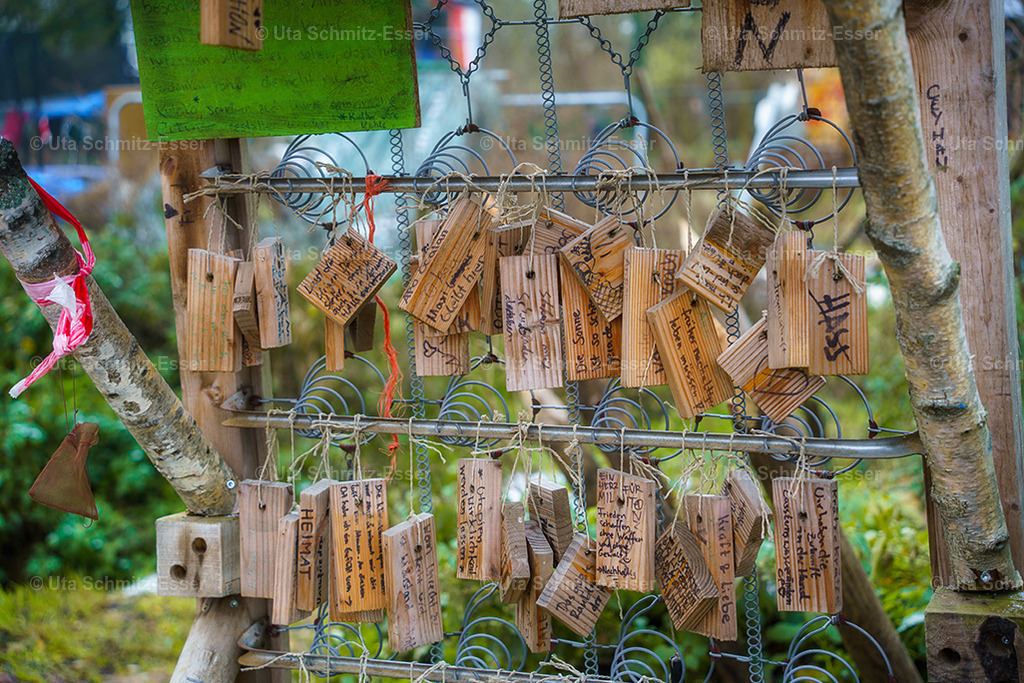 Luetzerath_45 | CEUS Design - Realisiert mit Pictrs.com